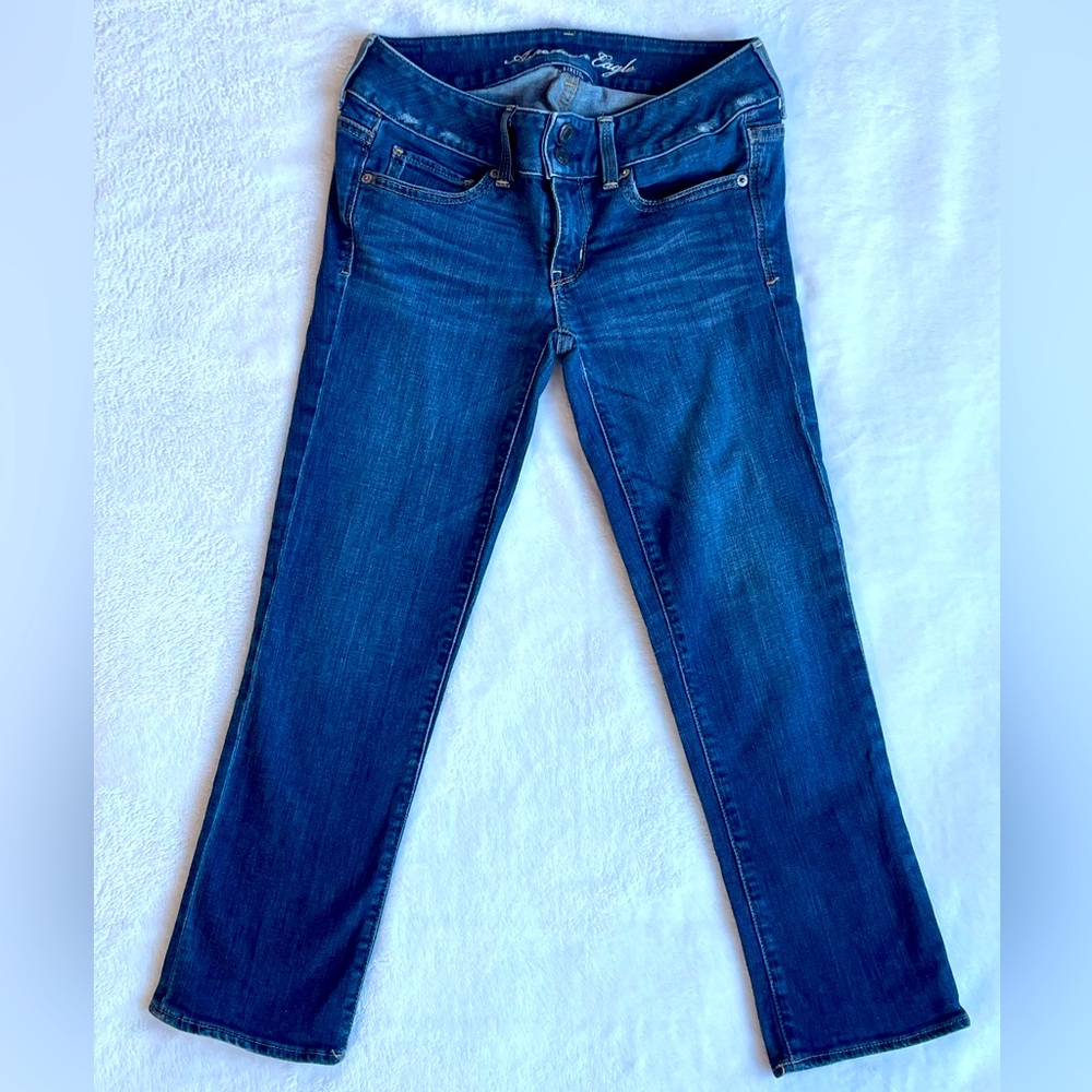 American Eagle Capris, Stretch, Style: Artist, Size 2